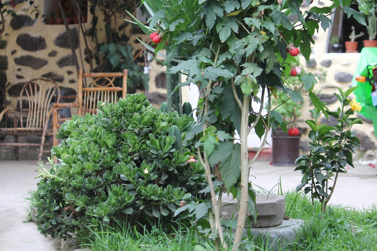 Killari B&B Ollantaytambo Extérieur photo